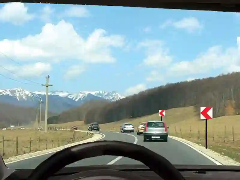 Imagine întrebare examen auto: Se poate efectua depășirea în situația dată?