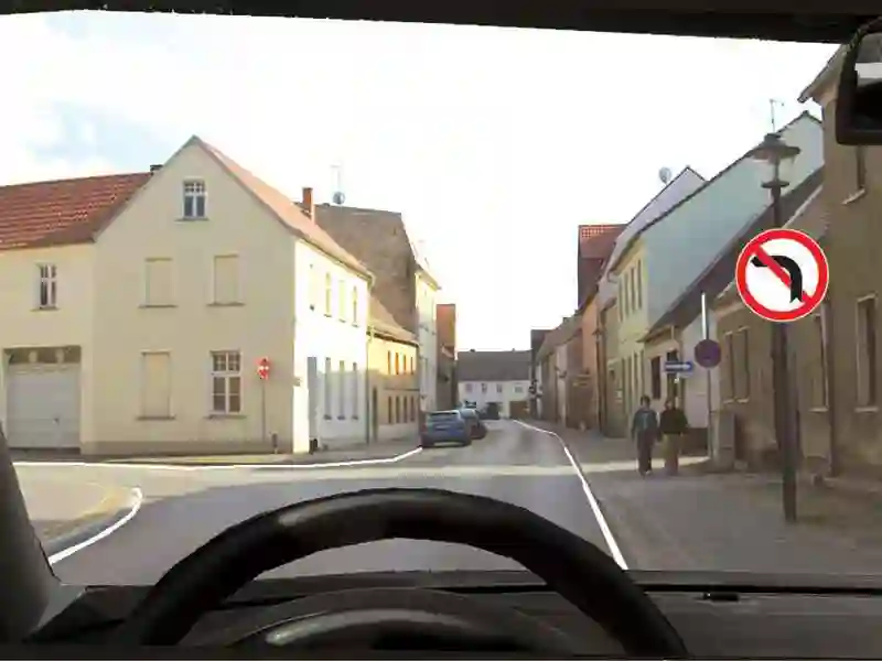 Imagine întrebare examen auto: Indicatorul nu permite schimbarea direcției de mers spre stânga: