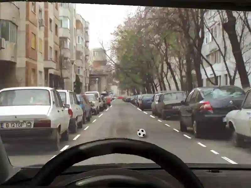 Imagine întrebare examen auto: Cum se recomandă să vă comportați în această situație?
