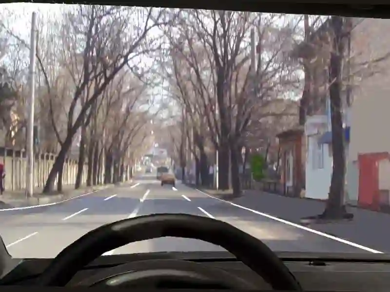 Imagine întrebare examen auto: Este interzisă staționarea pe un drum public prevăzut cu marcaj longitudinal continuu