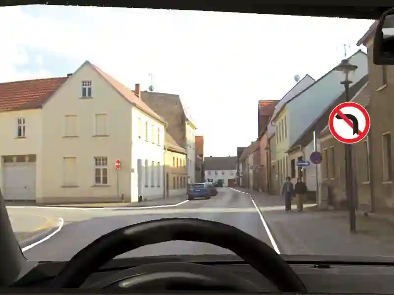 Imagine întrebare examen auto: Indicatorul nu permite schimbarea direcției de mers spre stânga: