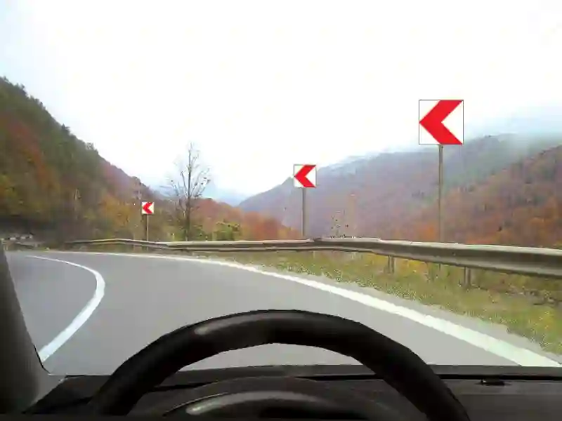 Imagine întrebare examen auto: Ce semnifică indicatoarele de semnalizare din imagine?