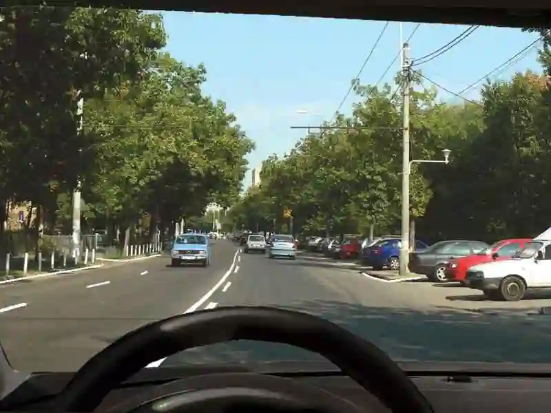 Imagine întrebare examen auto: Vă este permisă trecerea peste marcajul longitudinal din imagine?