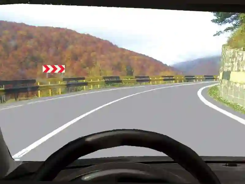 Imagine întrebare examen auto: Ce semnifică indicatorul?