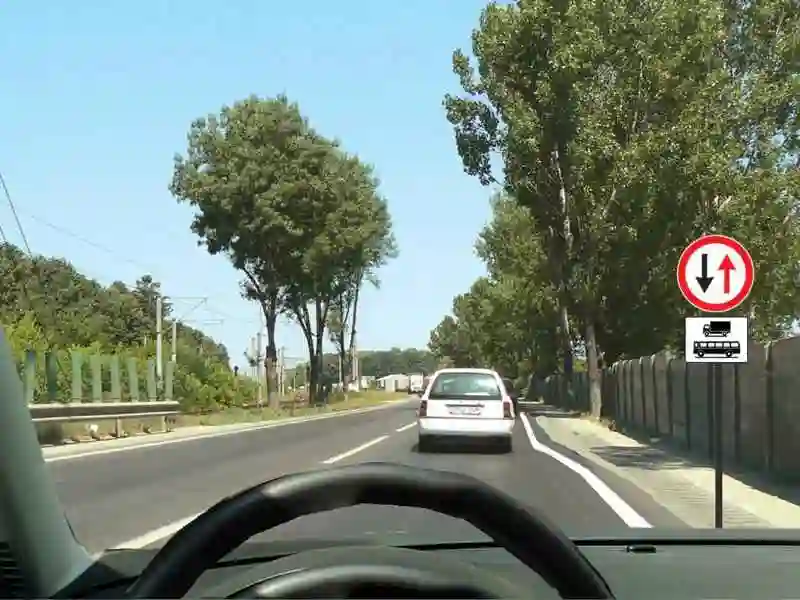 Imagine întrebare examen auto: La întâlnirea panoului de pe stâlp aveți obligația:
