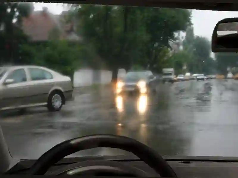 Imagine întrebare examen auto: În această situație veți circula cu: