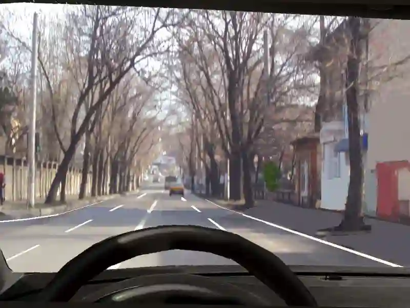 Imagine întrebare examen auto: Este interzisă staționarea pe un drum public prevăzut cu marcaj longitudinal continuu