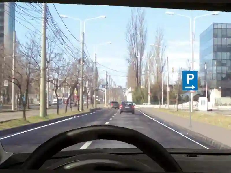 Imagine întrebare examen auto: Unde veți parca vehiculul la întâlnirea acestui indicator?