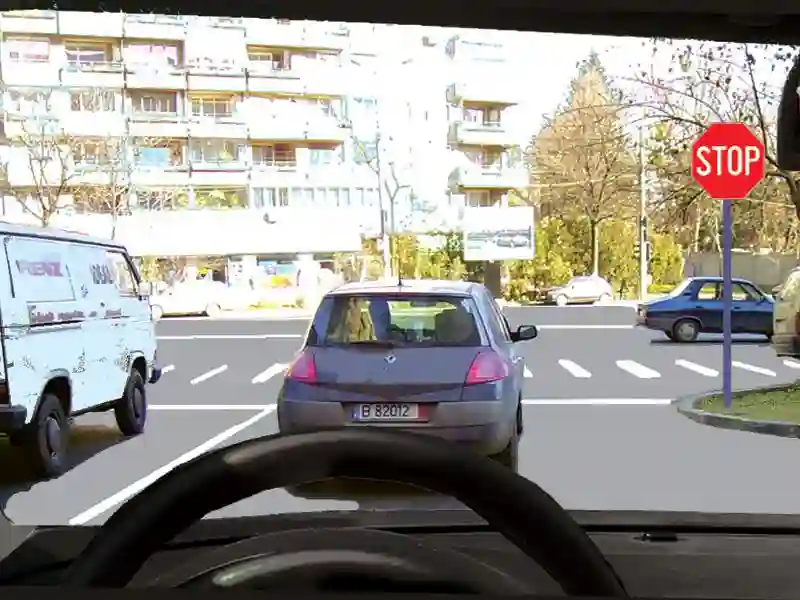 Imagine întrebare examen auto: În situația dată, aveți obligația: