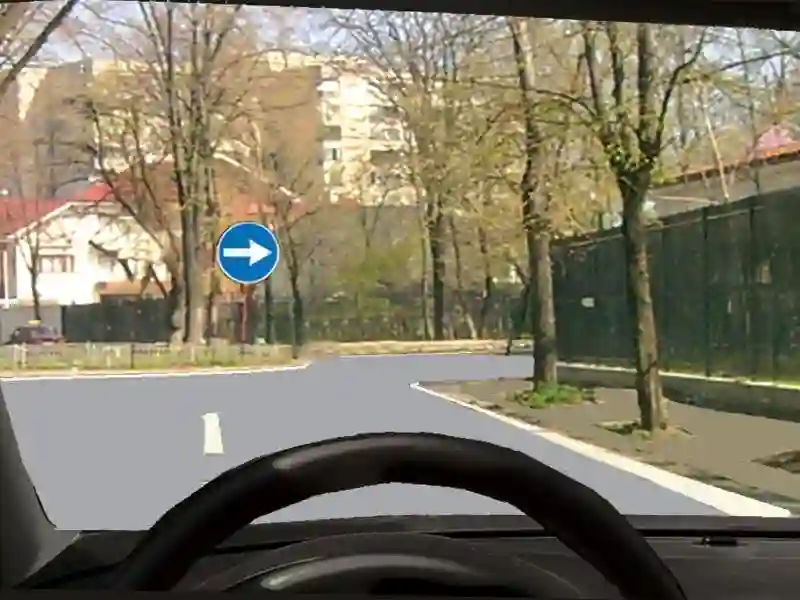 Imagine întrebare examen auto: În situația dată, sunteți obligat: