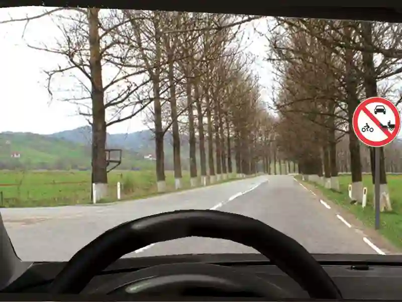 Imagine întrebare examen auto: Indicatorul interzice accesul: